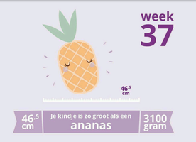 37 weken zwanger: De laatste loodjes